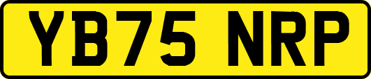 YB75NRP