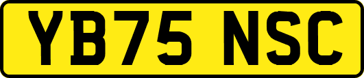 YB75NSC