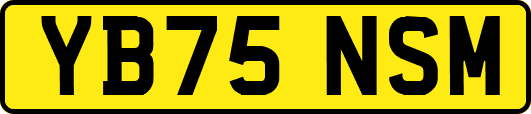 YB75NSM