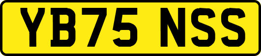 YB75NSS