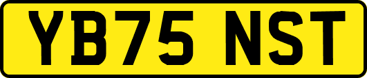 YB75NST