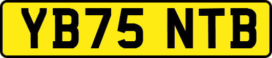 YB75NTB