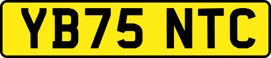 YB75NTC