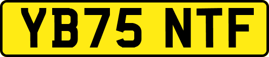YB75NTF