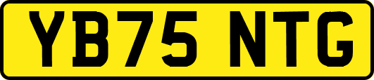 YB75NTG