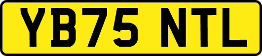 YB75NTL