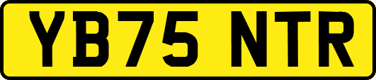 YB75NTR