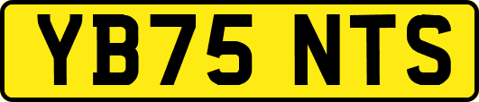 YB75NTS