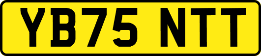 YB75NTT