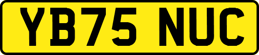 YB75NUC