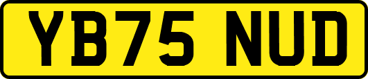 YB75NUD