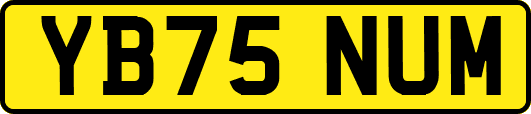 YB75NUM