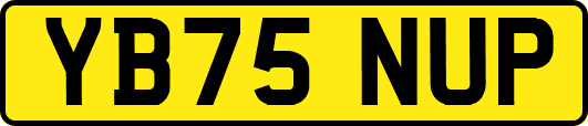 YB75NUP