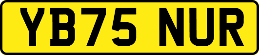 YB75NUR