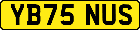 YB75NUS