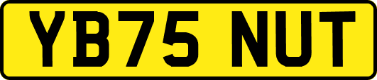 YB75NUT