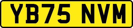 YB75NVM
