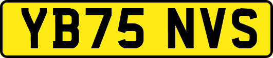YB75NVS