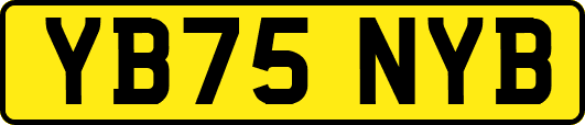 YB75NYB