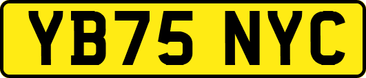 YB75NYC