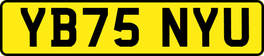 YB75NYU