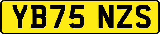 YB75NZS
