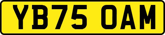 YB75OAM