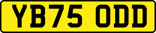 YB75ODD