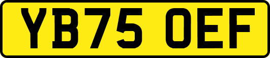 YB75OEF