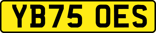 YB75OES