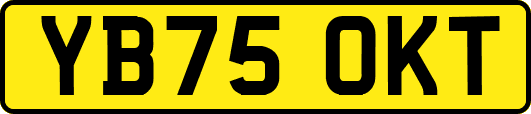 YB75OKT