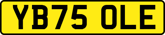 YB75OLE