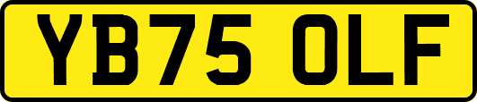 YB75OLF