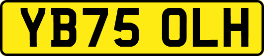 YB75OLH