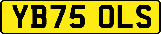 YB75OLS