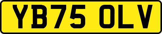 YB75OLV