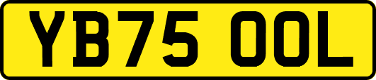YB75OOL