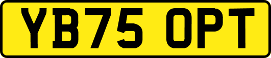 YB75OPT
