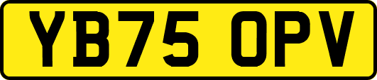 YB75OPV