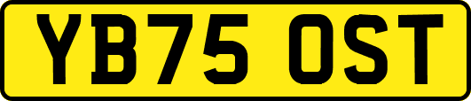 YB75OST