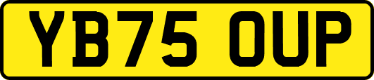 YB75OUP
