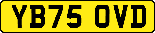 YB75OVD