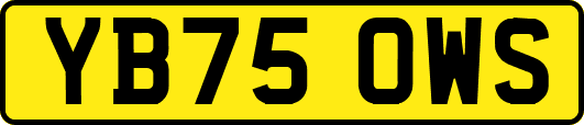 YB75OWS