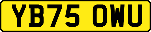 YB75OWU