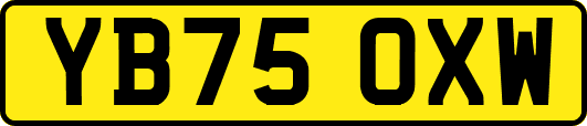 YB75OXW