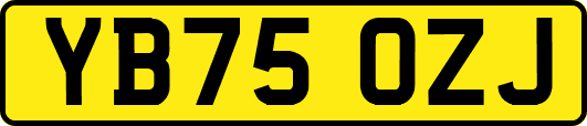 YB75OZJ