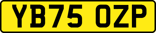 YB75OZP