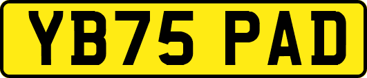 YB75PAD