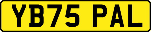 YB75PAL