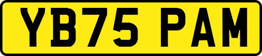 YB75PAM